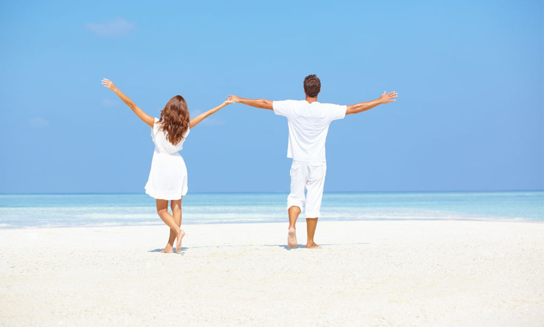 双桥正定在线网站开发案例